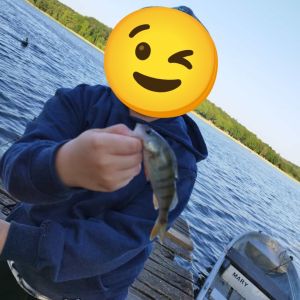Profilbild