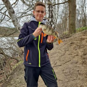 Profilbild