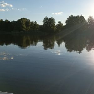 KarpfenAron