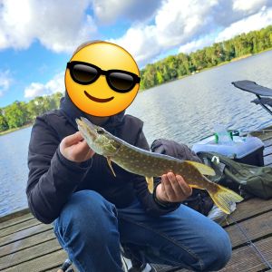 Profilbild