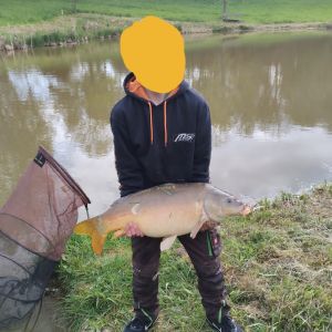 Profilbild
