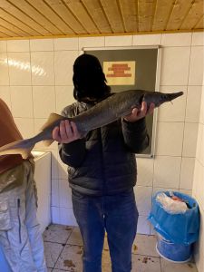 Profilbild