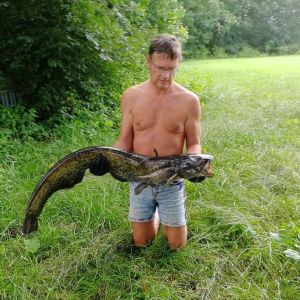 Profilbild