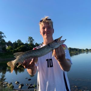 Profilbild