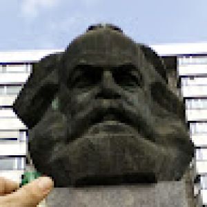 Mehrprofi Tim