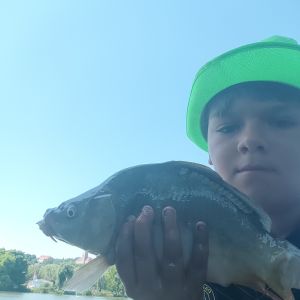 Profilbild
