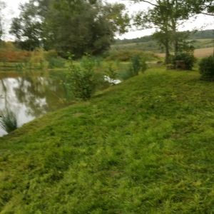 Trenkelhofer Teich ALLE ANGELN