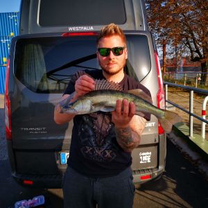 Fischbeker Teiche ALLE ANGELN