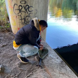 Jannik23