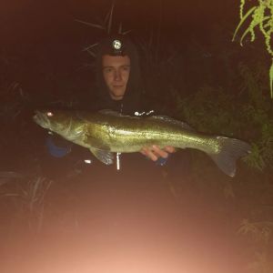 Klein Junior Morschi