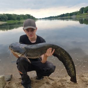 Profilbild