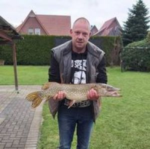 Profilbild