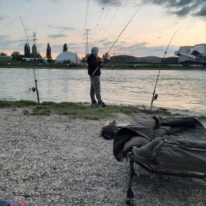 Profilbild
