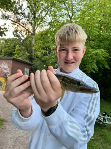 Profilbild