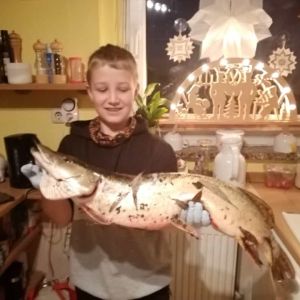 Profilbild