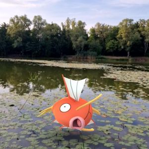 Profilbild