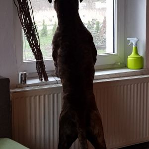 Profilbild