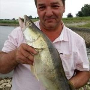 Wolfram Hagedorn