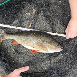 Nick Fishing