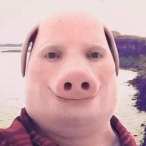 Profilbild