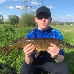 Profilbild