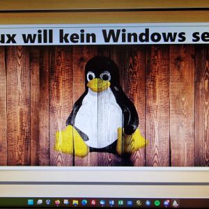 Profilbild