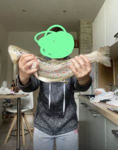 Profilbild