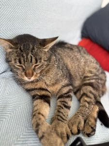 Profilbild