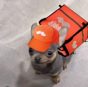 Profilbild