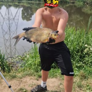 Profilbild