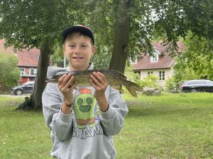 Profilbild