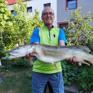 Profilbild