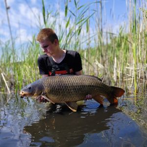Profilbild