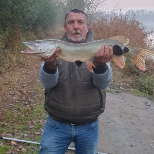Raubfischkönig