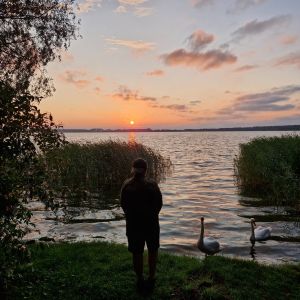 Profilbild