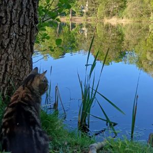 Profilbild