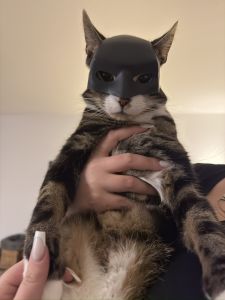 Profilbild