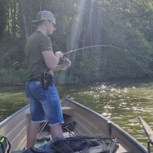 Profilbild