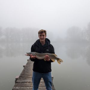Profilbild