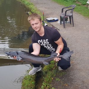 Profilbild