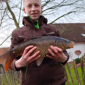 Profilbild