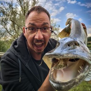 Profilbild