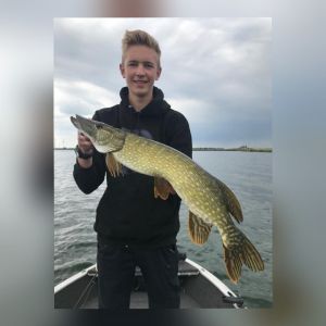 Profilbild