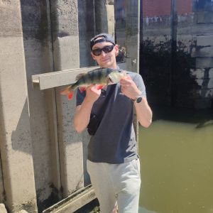Profilbild