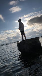 Profilbild