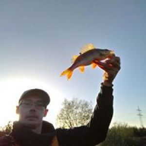 Profilbild