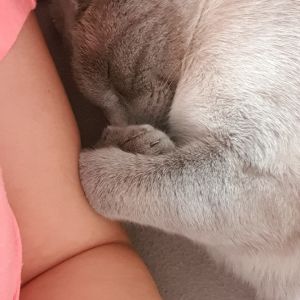 Profilbild