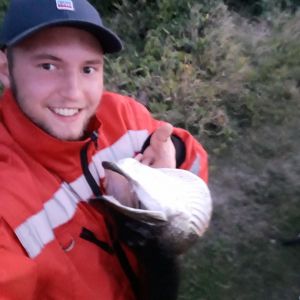 Profilbild