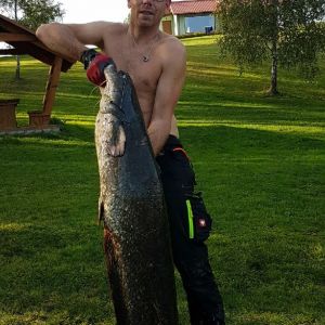 Profilbild