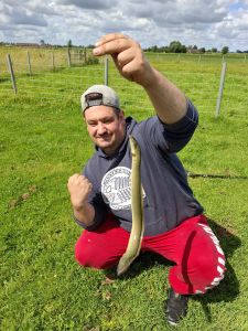 Profilbild